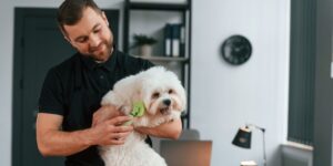 New Year's resolutions for your dog grooming business in-post image 3