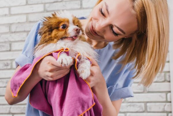 New Year's resolutions for your dog grooming business Feature Image