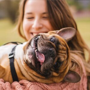 How to find clients for dog daycare Feature Image