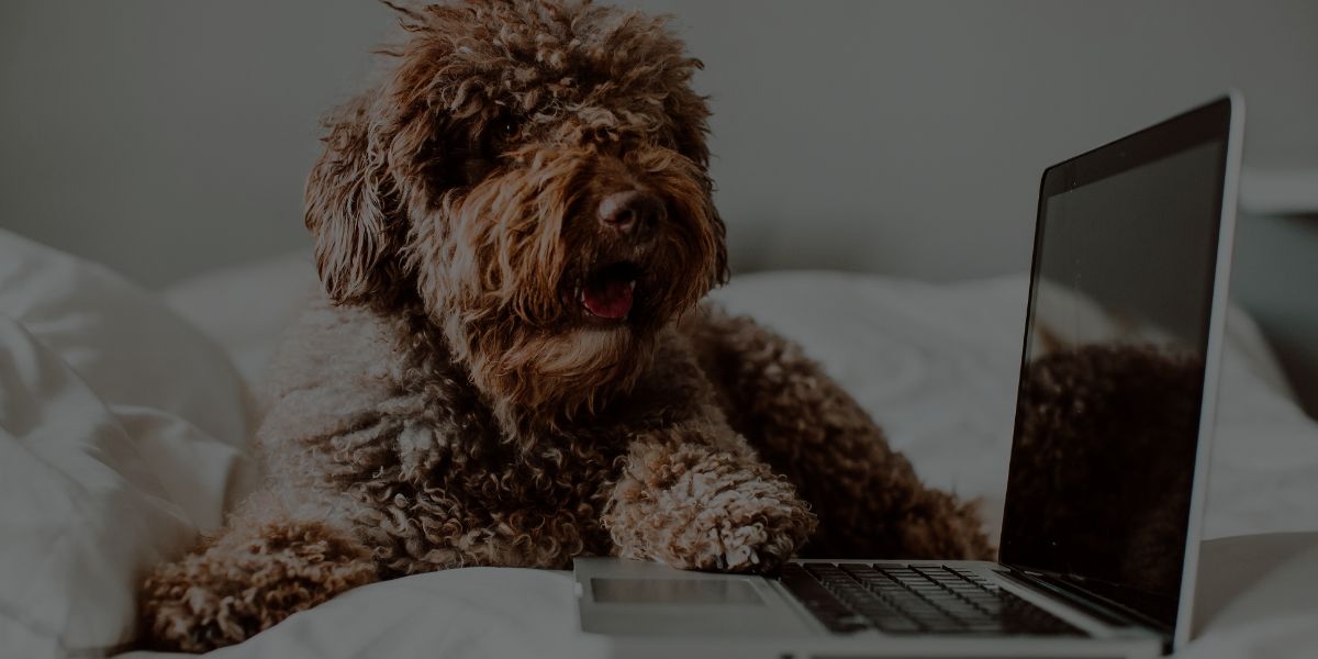The QC Pet Studies MASTER LIST of Blog Resources